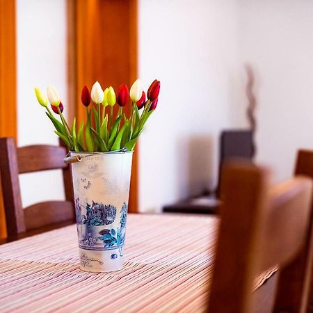 Apartmani Marina Klek Zewnętrze zdjęcie