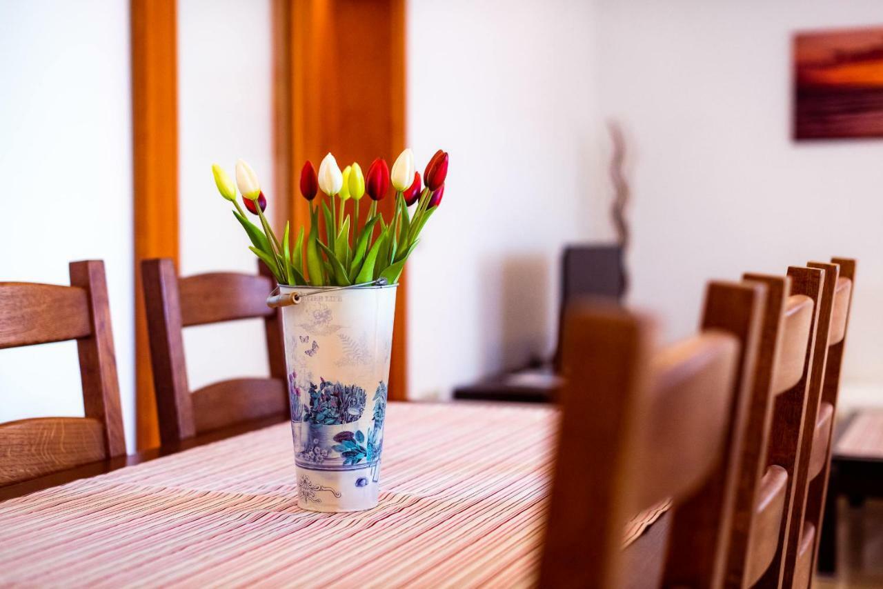 Apartmani Marina Klek Zewnętrze zdjęcie